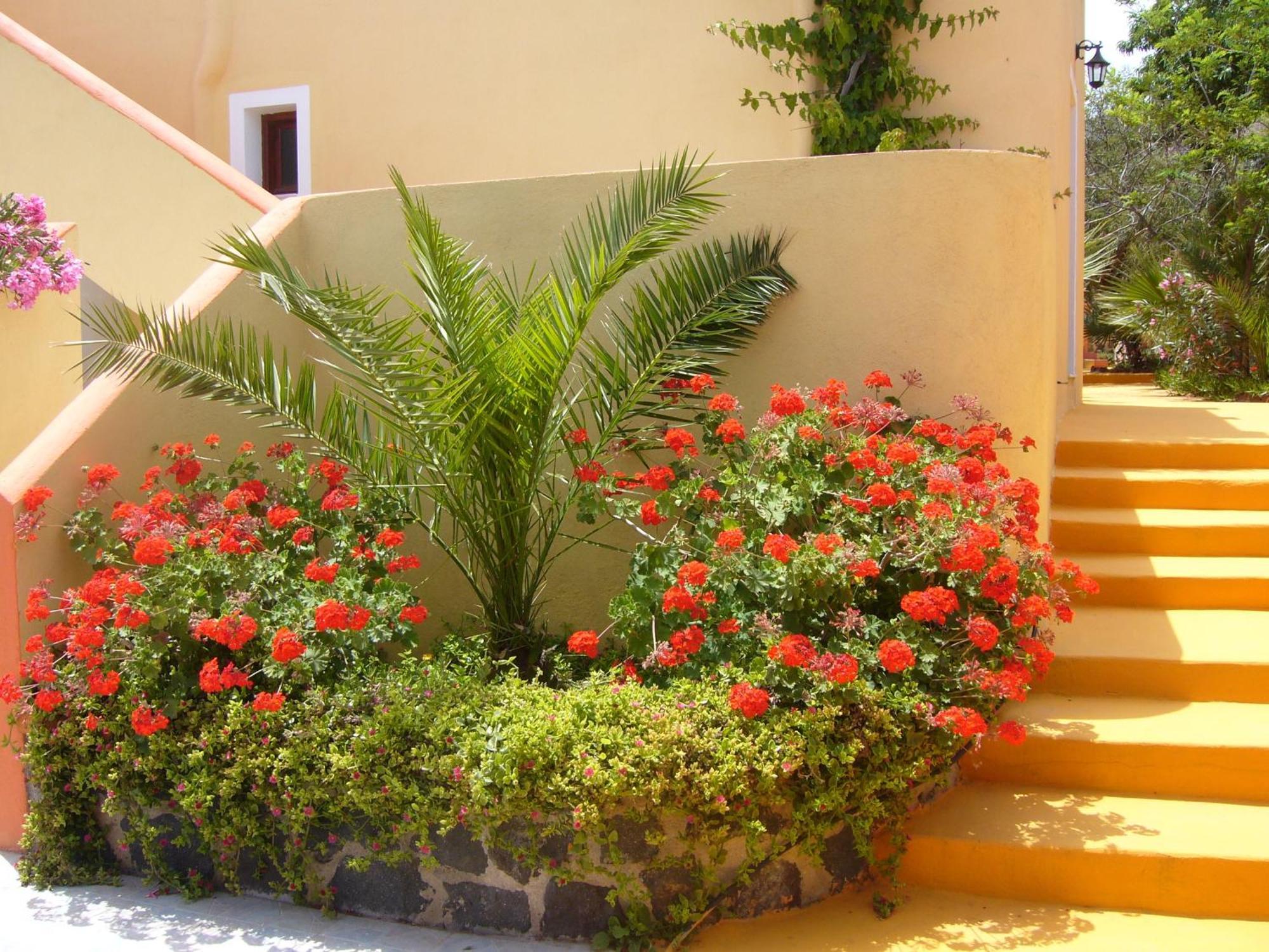 Soulis Hotel Oia Dış mekan fotoğraf